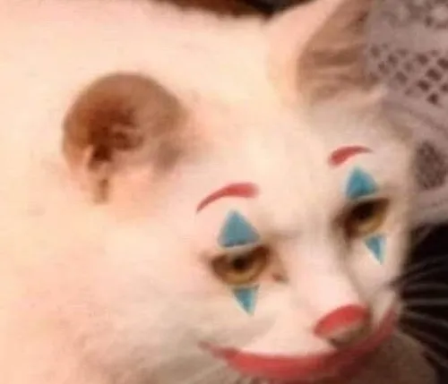 EOfdcyrWAAAwEmr.jpg