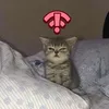 Avatar gaaab