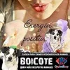 Avatar giselaqueiroz