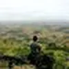 Avatar pedromello1677