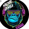 Avatar nicolasgoloberto