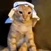 Avatar pedrosk