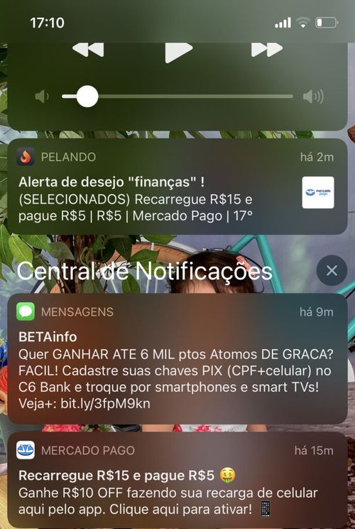 7106263.jpg