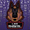Avatar leo.shakal