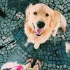 Avatar doggi