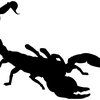 Avatar skorpio