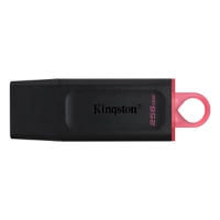 Pen Drive Kingston 256GB USB3.2 Gen1 DataTraveler Exodia, Preto e Rosa - DTX/256GB