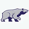 Avatar bear