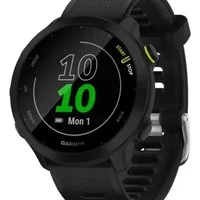 Relógio Garmin Forerunner 55 Preto, Pulseira Black