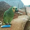 Avatar tabetic_22