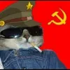 Avatar gatinh0comunist4