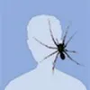 Avatar carlos_dearaujolucas