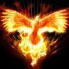 Avatar lucassbfr77
