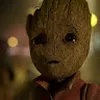 Avatar antoniocalil