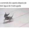 Avatar pedro2025