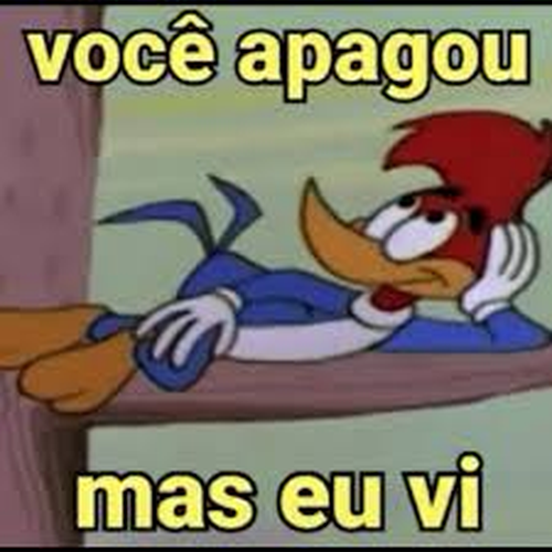 Imagem do comentário