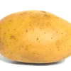 Avatar blaringwalnut27_