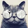 Avatar gato_economico