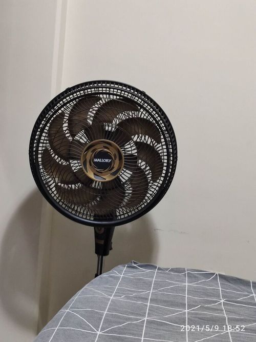 6806746.jpg