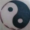 Avatar reiswn