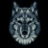 Avatar vinicius_lopesvdf