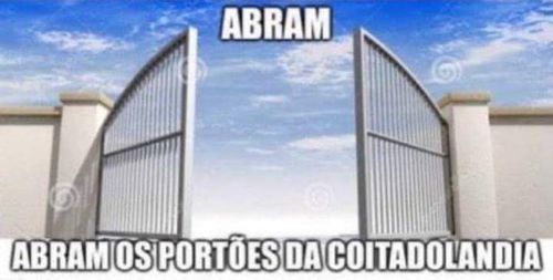 Imagem do comentário