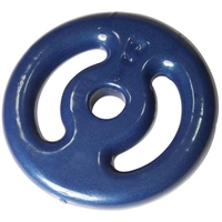 Anilha Emborrachada 4kg R$ 54