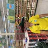 Avatar israelpessim