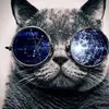 Avatar juliano.perotto
