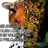 Avatar znighttz