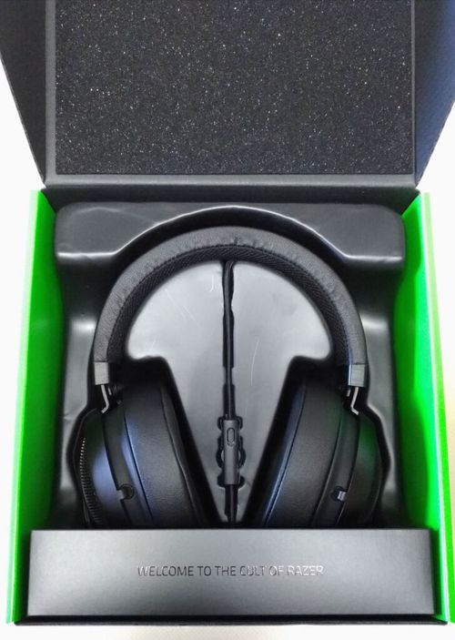 3994904.jpg