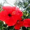 Avatar somosiguais_amoamar