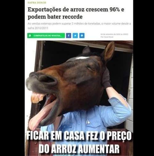 5370541-fCFea.jpg