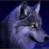 Avatar woollf_.