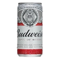 [Leve 14] Cerveja Budweiser Lager Lata 269 Ml