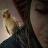 Avatar kamosken