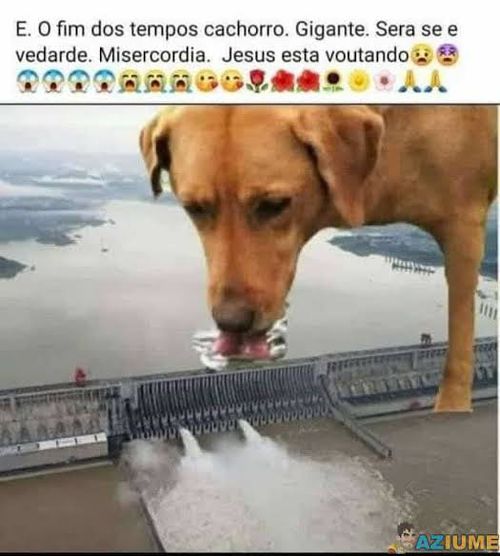 Imagem do comentário
