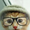 Avatar c._anderson
