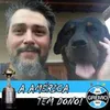 Avatar rafael.bernardi