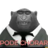 Avatar mamaco