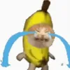 Avatar bananacat