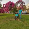 Avatar joaocarlosjanemargarete