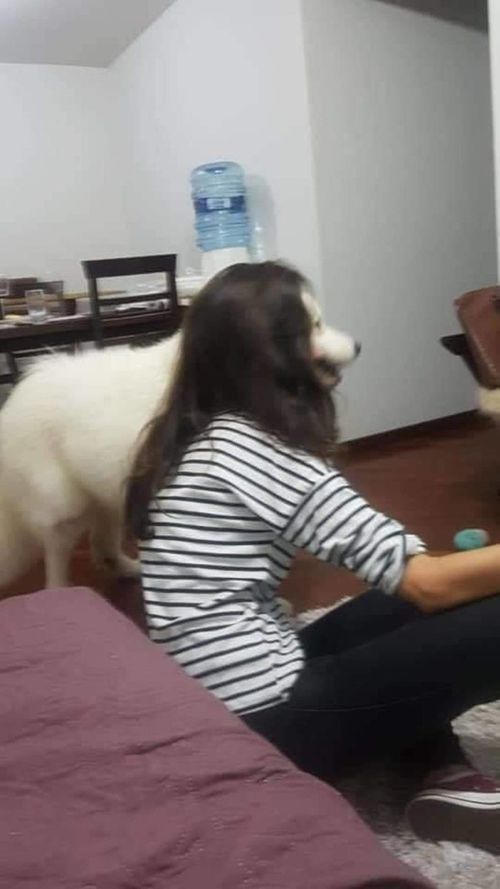 FRydHWjWQAMI7ah.jpeg