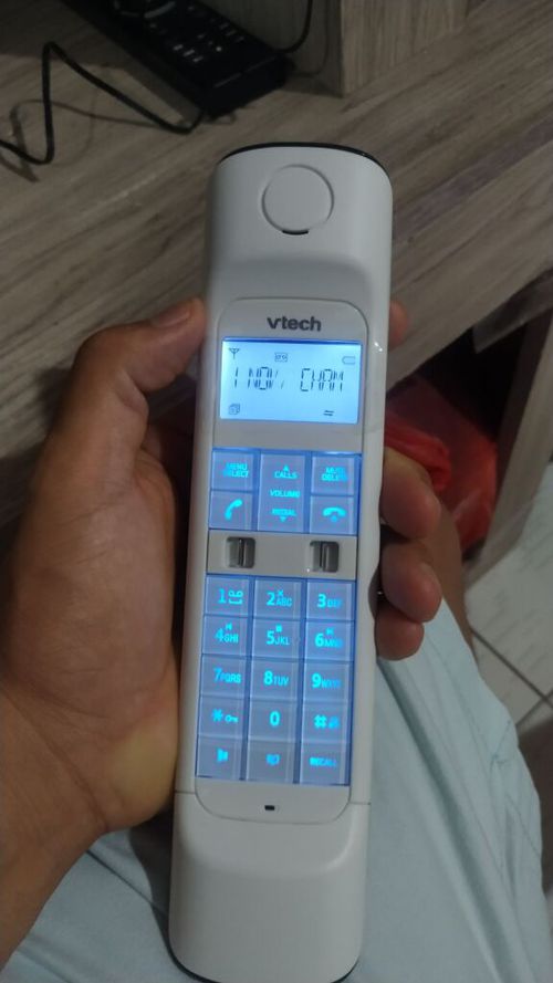 6185906.jpg