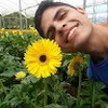 Avatar ariranhadofretegratis2088