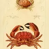 Avatar sicuro