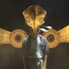 Avatar lucasdonatoni
