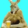 Avatar kanguru