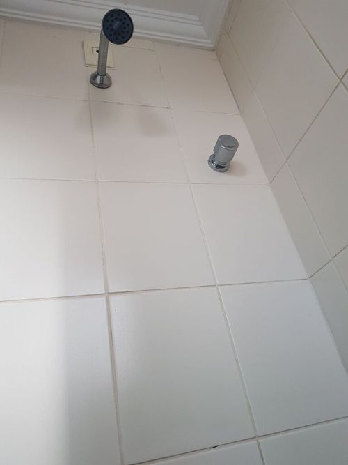 5753472.jpg