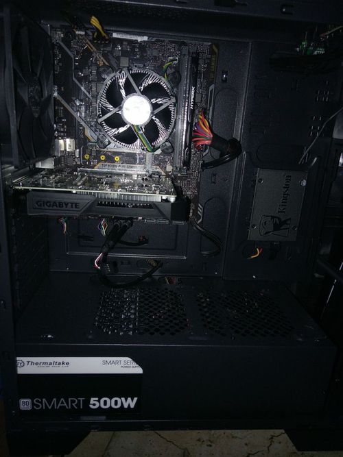 3520597.jpg